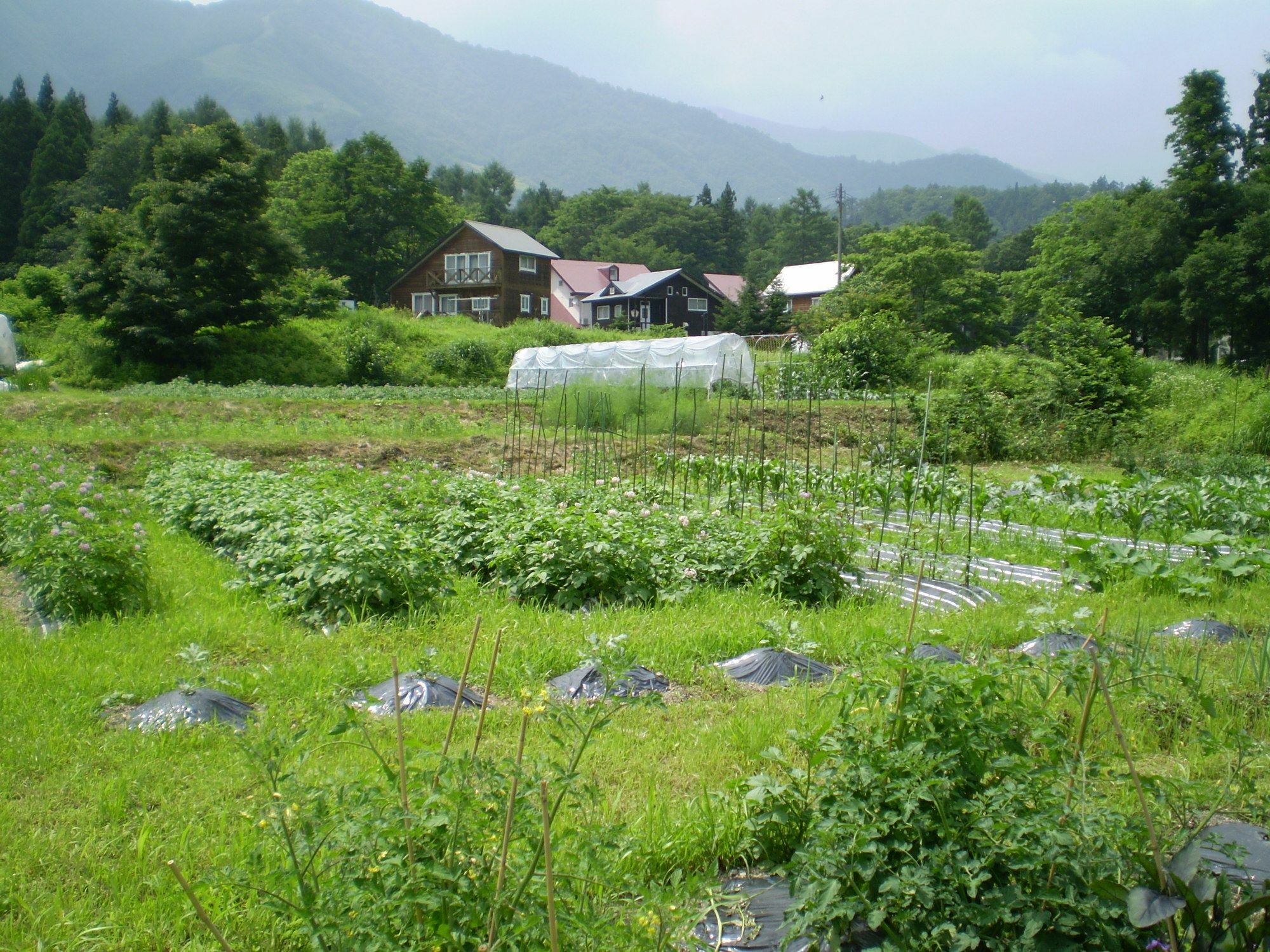 ペンション ちゃうちゃう Bed & Breakfast Hakuba Exterior photo